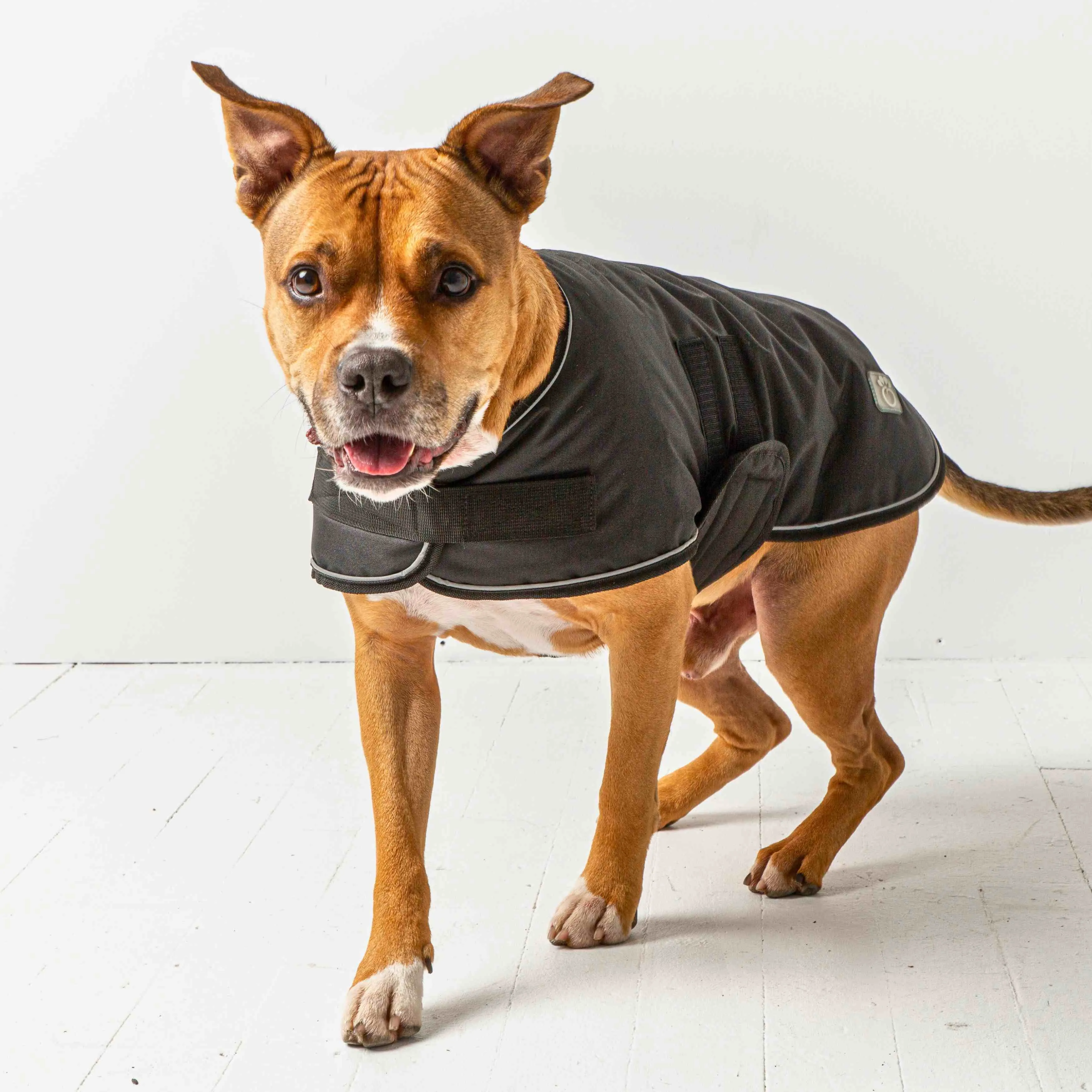 Dog Blanket Jacket - Black