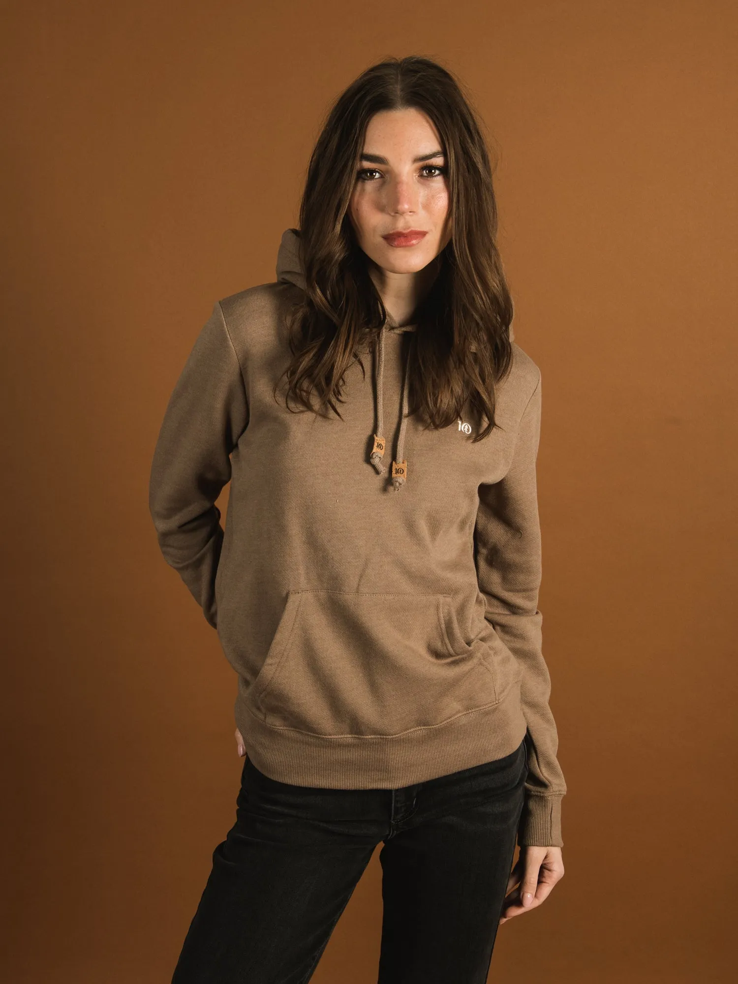 TENTREE SUNSET EMBROIDERED LOGO BLOCK HOODIE  - CLEARANCE